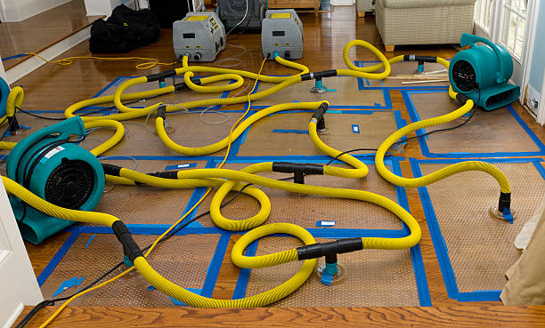 Professional Sewage Cleanup technician working in Somerset Center, MI